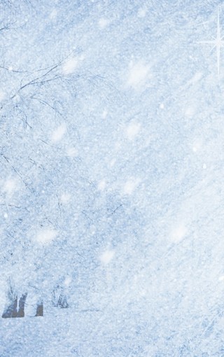 唯美雪景冬季手机壁纸(5)