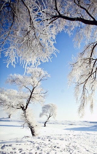 魅力震撼的雪景图片壁纸图集(8)