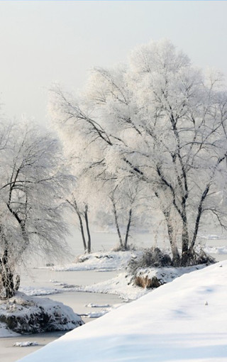 冰雪美景雾凇图片壁纸(2)