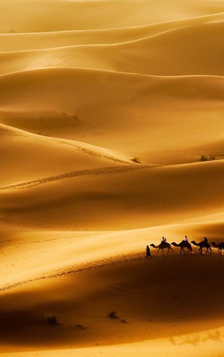 沙漠高清手机壁纸图片(4)