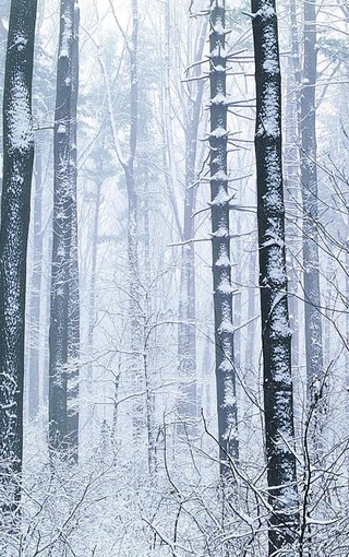 魅力震撼的雪景图片壁纸图集(5)