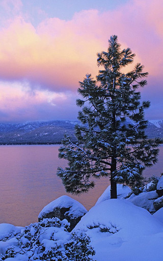 冬季美丽的雪景手机壁纸下载(6)