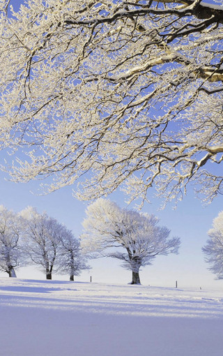 美丽的大图雪景手机壁纸(10)