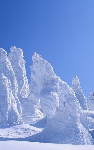 冬季美丽的雪景手机壁纸下载(3)