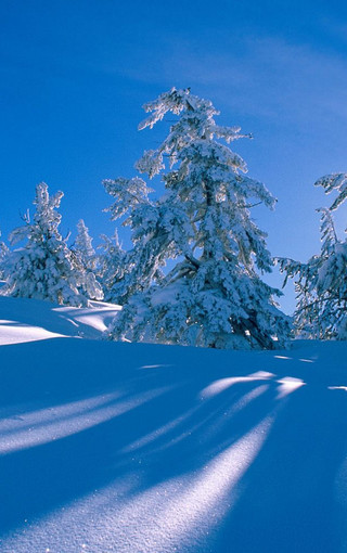 冬季美丽的雪景手机壁纸下载(4)