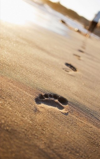 海滩上的脚印手机壁纸