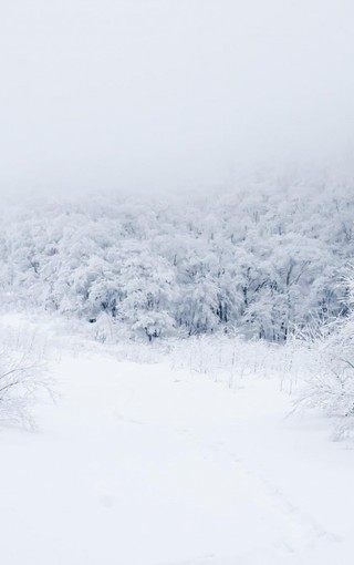 冬季雪景高清壁纸图片(9)