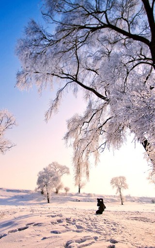 魅力震撼的雪景图片壁纸图集(4)
