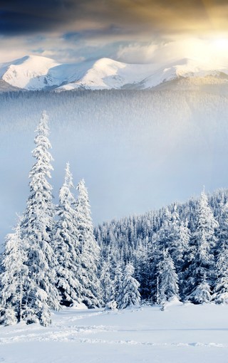 冬季雪景高清壁纸图片