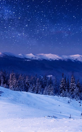 高清雪景手机图片