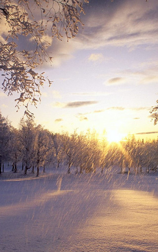 冬季美丽的雪景手机壁纸下载(2)