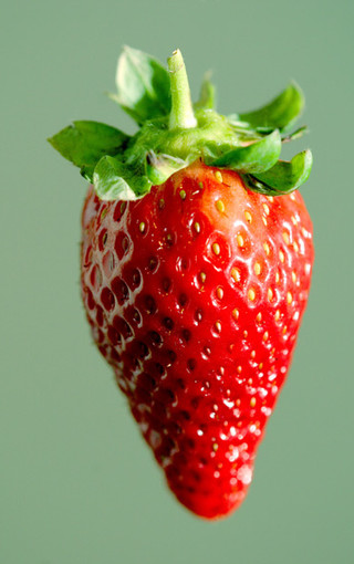新鲜的草莓手机壁纸(3)