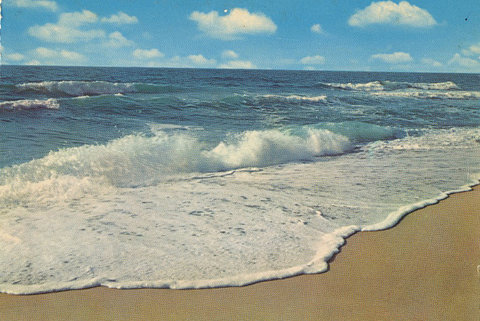 阳光沙滩海浪大海图片(2)