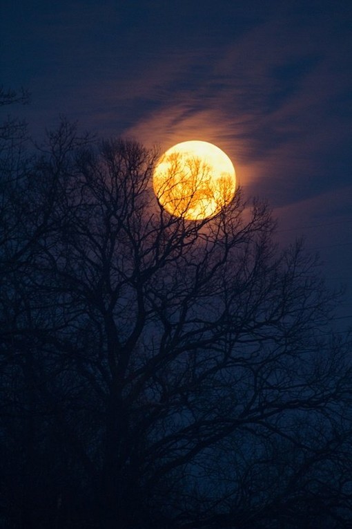 高清月亮大图