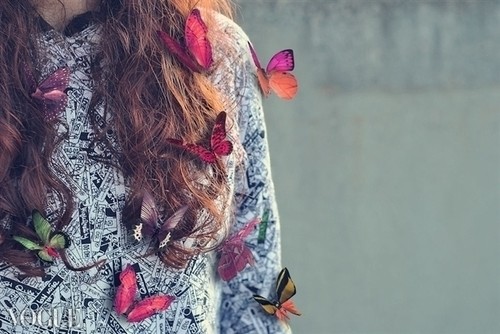 我爱蝴蝶我爱她拥有美丽的翅膀