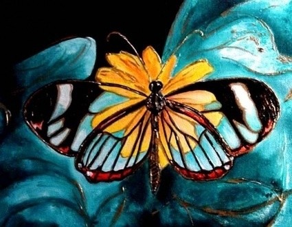 我爱蝴蝶我爱她拥有美丽的翅膀(5)