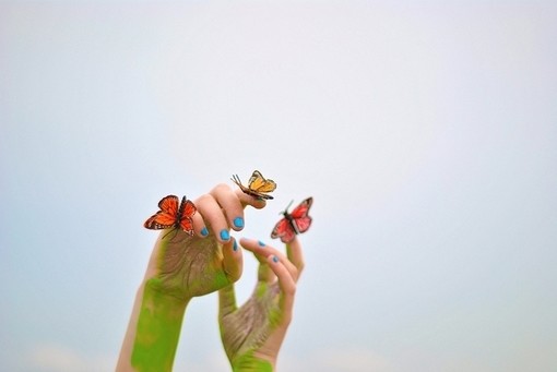 一只大蝴蝶扇动着一对彩色的翅膀(7)