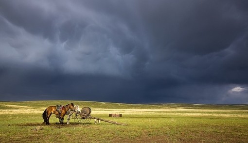 蒙古草原风景图片(5)