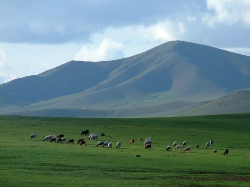 蒙古草原美女图片(5)