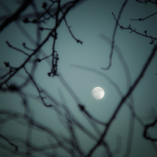 夜晚月亮星空图片(3)