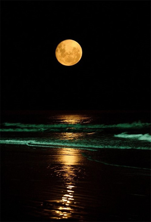 美丽的月亮图片