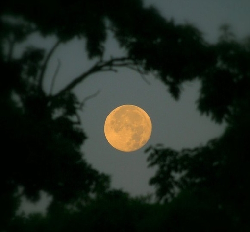 月亮背景图片(4)