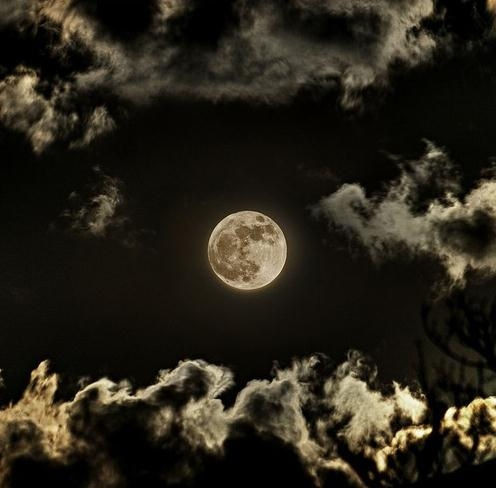 月亮风景图片(3)