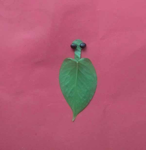 简单的幼儿树叶拼贴画之可爱的小乌龟制作方法(4)