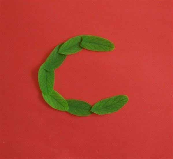 树叶贴画的制作方法 创意儿童手工DIY小蛇拼贴画教程(2)