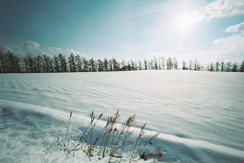 冬天的雪图片(4)