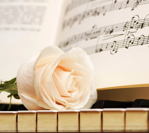 钢琴与玫瑰的唯美图片(4)