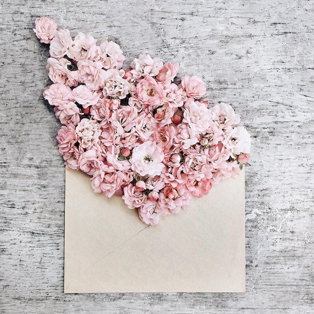 塞满了小清新花朵的唯美意境信封图片(3)
