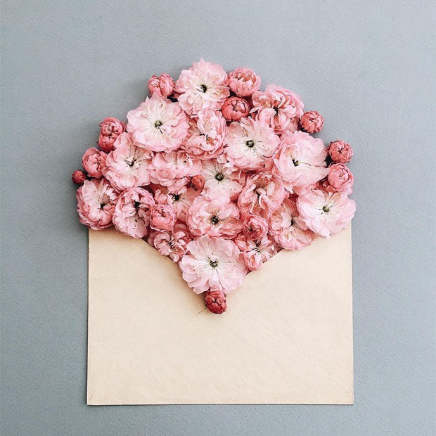 塞满了小清新花朵的唯美意境信封图片(9)