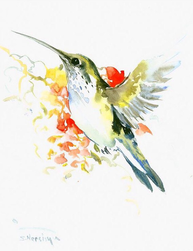 画师于飞的唯美蜂鸟水彩画作品欣赏