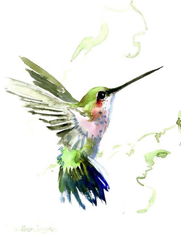 画师于飞的唯美蜂鸟水彩画作品欣赏(3)