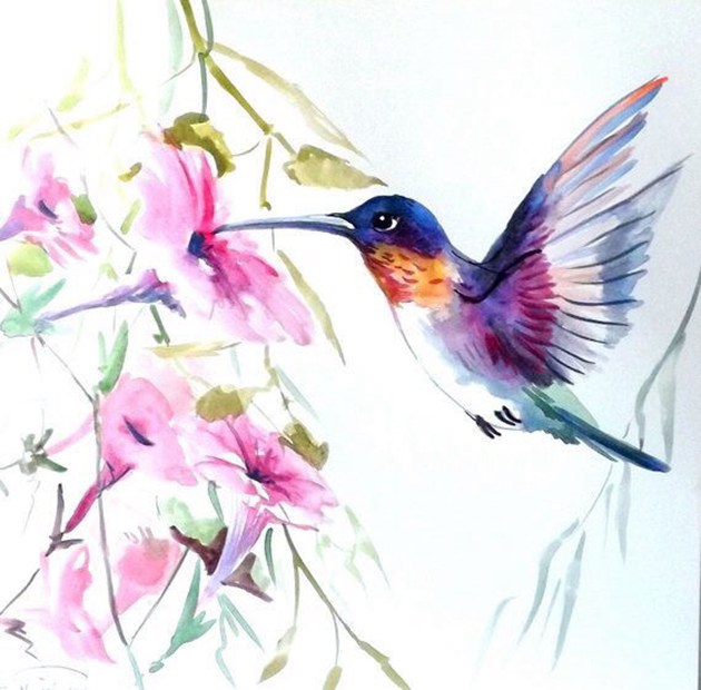画师于飞的唯美蜂鸟水彩画作品欣赏(4)