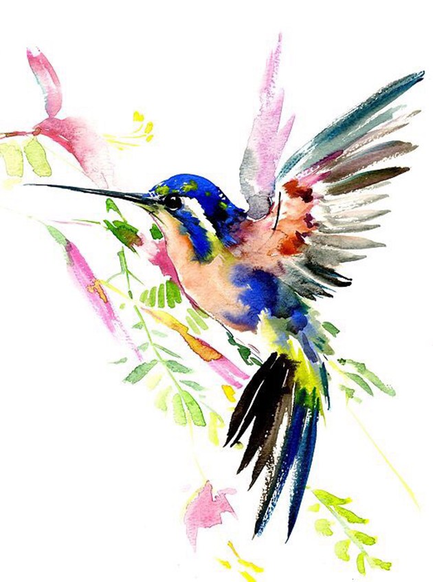 画师于飞的唯美蜂鸟水彩画作品欣赏(2)