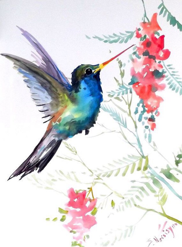 画师于飞的唯美蜂鸟水彩画作品欣赏(6)