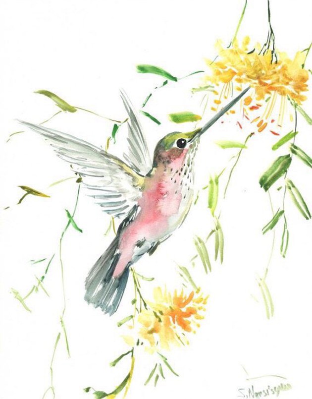 画师于飞的唯美蜂鸟水彩画作品欣赏(7)