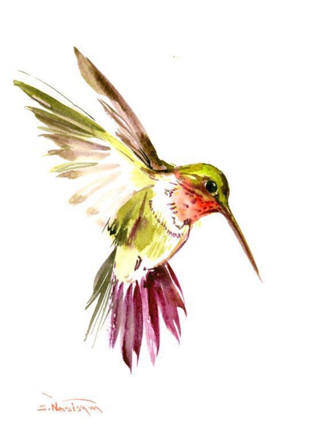 画师于飞的唯美蜂鸟水彩画作品欣赏(9)
