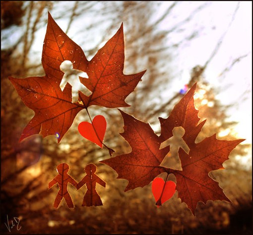 关于秋天与落叶的季节唯美风光小清新图片(4)