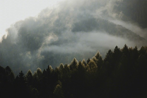 云雾缭绕的山间丛林唯美摄影图片(2)