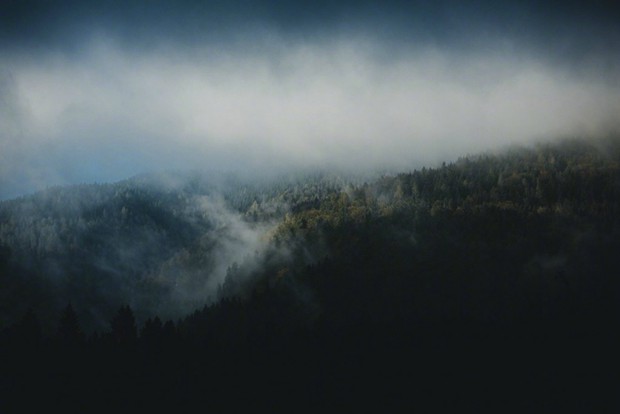 云雾缭绕的山间丛林唯美摄影图片(3)
