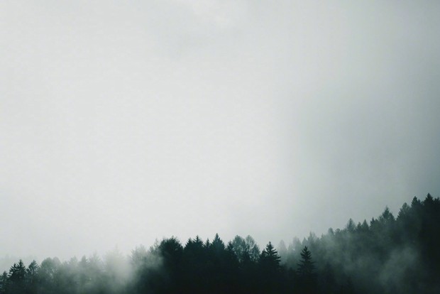 云雾缭绕的山间丛林唯美摄影图片