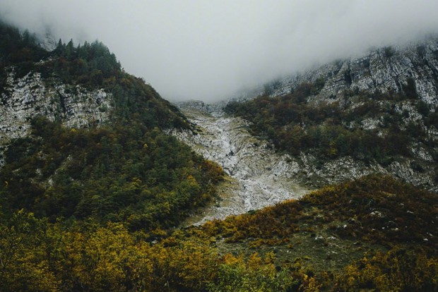云雾缭绕的山间丛林唯美摄影图片(4)