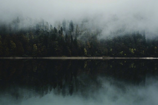 云雾缭绕的山间丛林唯美摄影图片(8)
