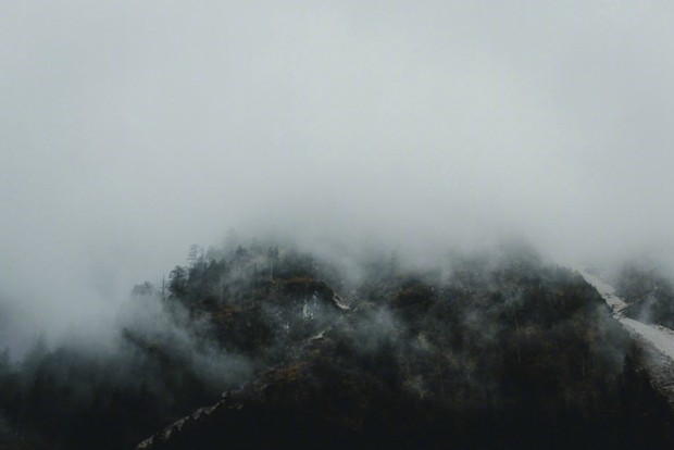 云雾缭绕的山间丛林唯美摄影图片(7)