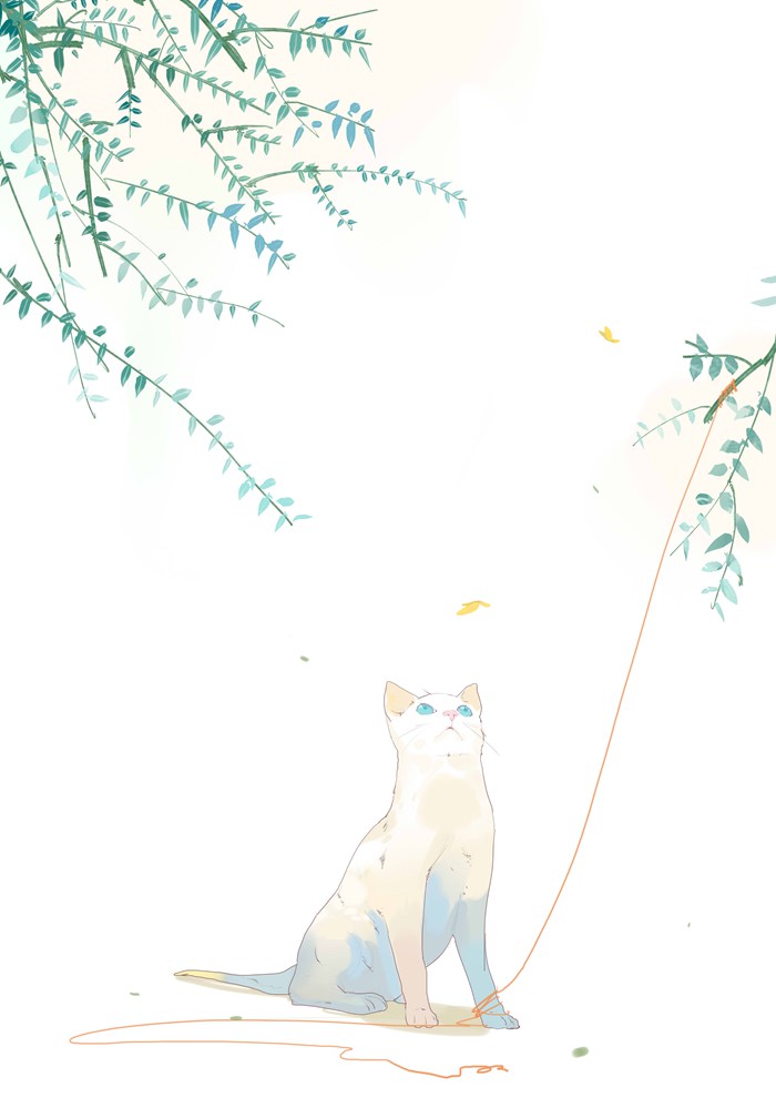 唯美的猫咪动物插画图片(2)