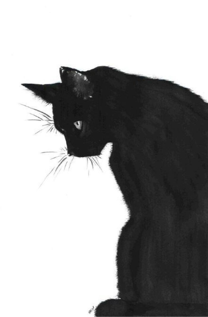 唯美的猫咪动物插画图片(7)
