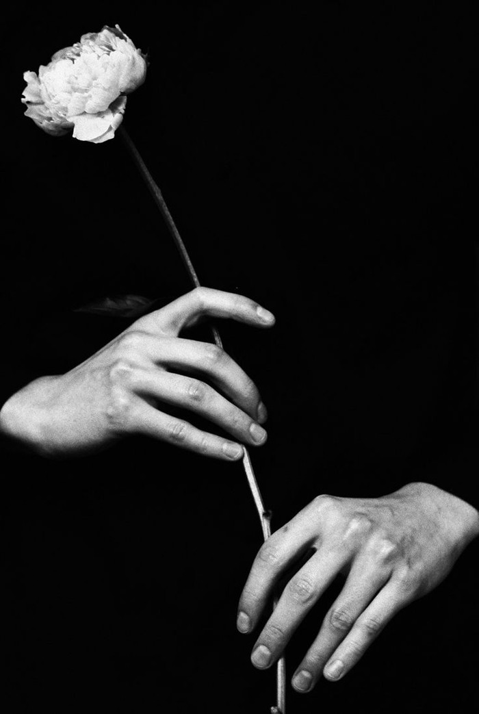 手与鲜花的唯美小清新图片(2)